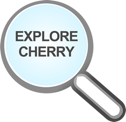 Find out more